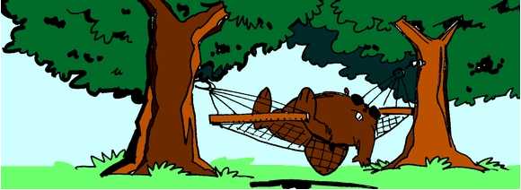 Garry doing his TIM imitation